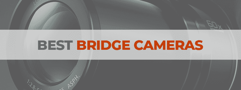 the best bridge cameras